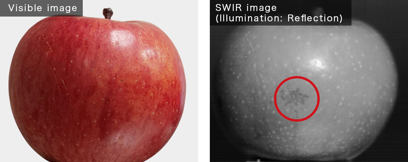 苹果对比图像